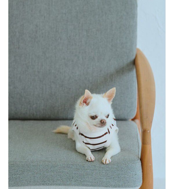 ROPE PICNIC PASSAGE「【DOG】リンクボーダータンクトップ」|その他|