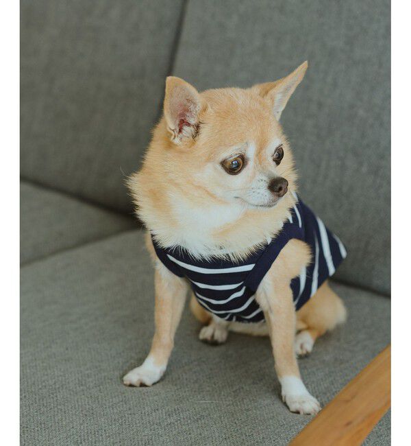 ROPE PICNIC PASSAGE「【DOG】リンクボーダータンクトップ」|その他|ネイビー系(41)