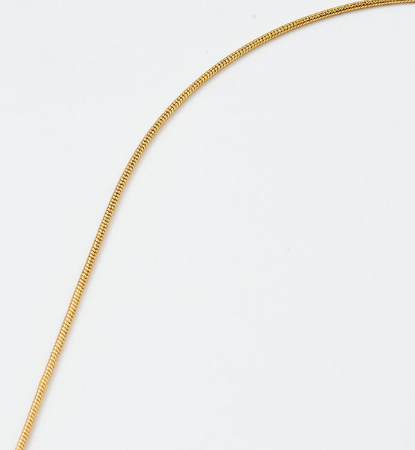 collex「【dignif】【金属アレルギー対応】コインネックレス」|ネックレス|