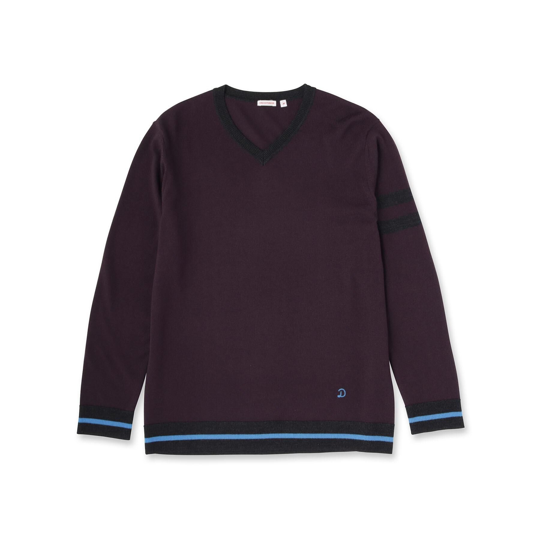 DRESSTERIOR「ウォッシャブルファインメリノ Vネックニット」|ニット・セーター|