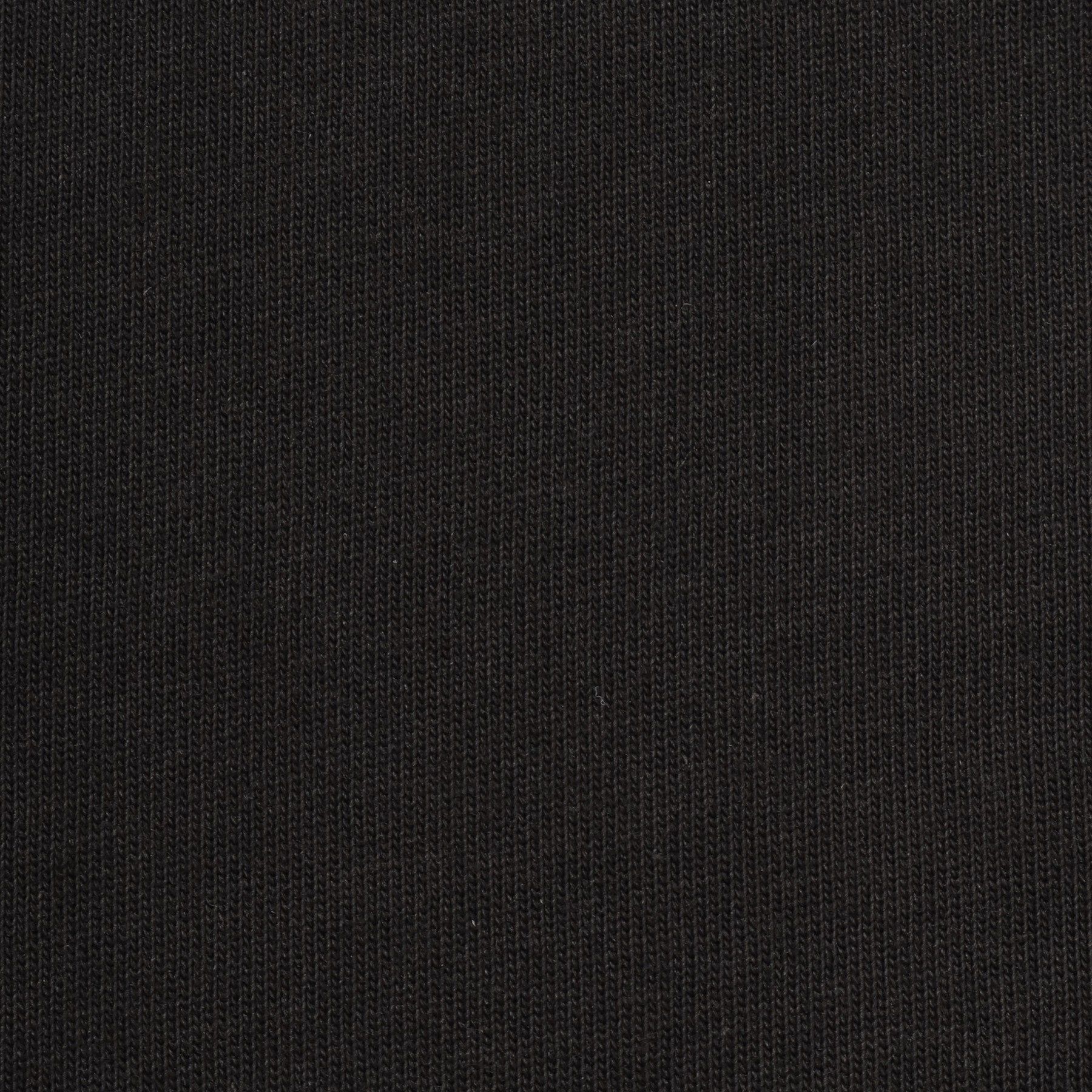 DRESSTERIOR「LACOSTE（ラコステ）アウトラインクロッククルーネックTシャツ」|Tシャツ・カットソー|