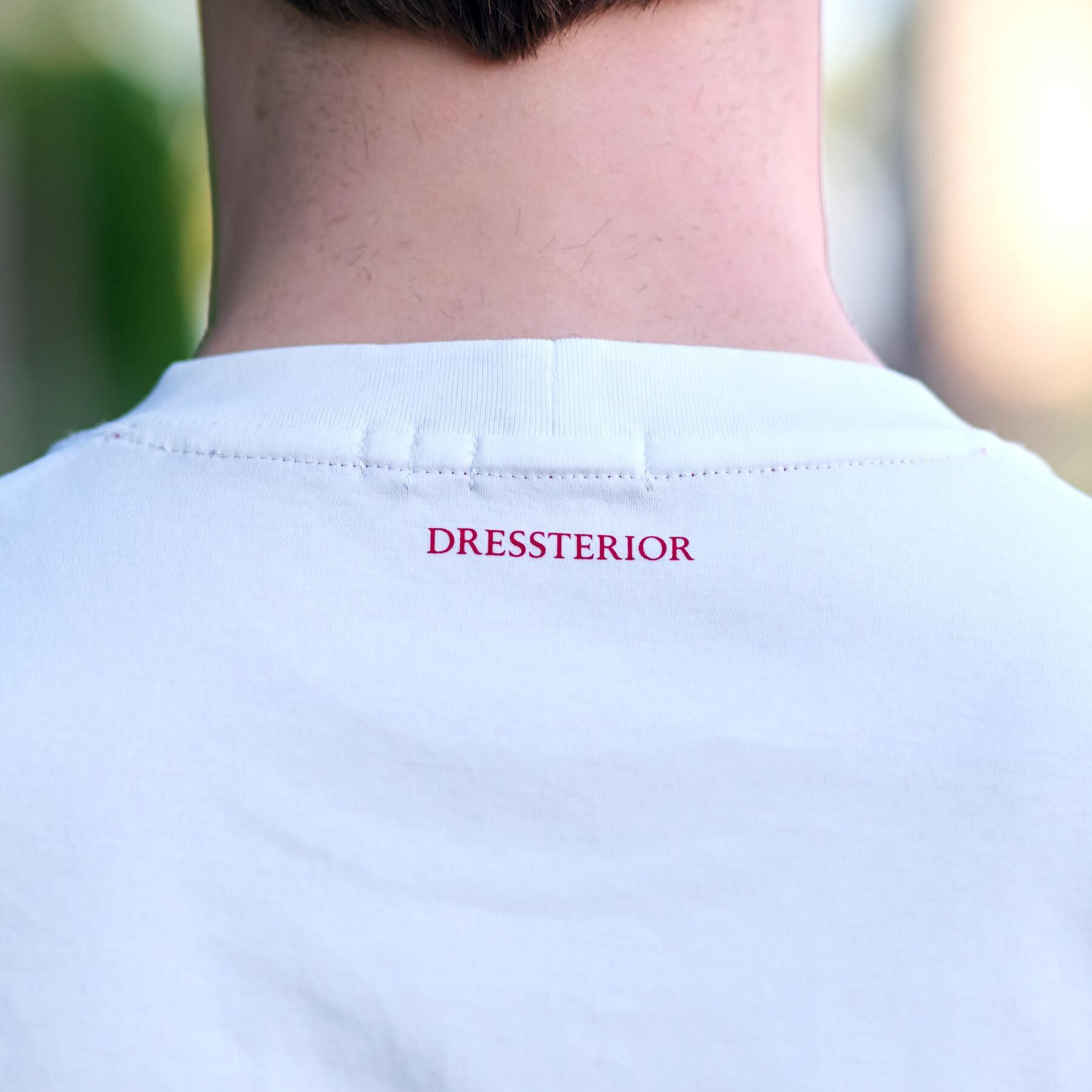 DRESSTERIOR「【接触冷感／抗菌防臭／消臭】ICE CLEAR COTTON ポケットTシャツ」|Tシャツ・カットソー|