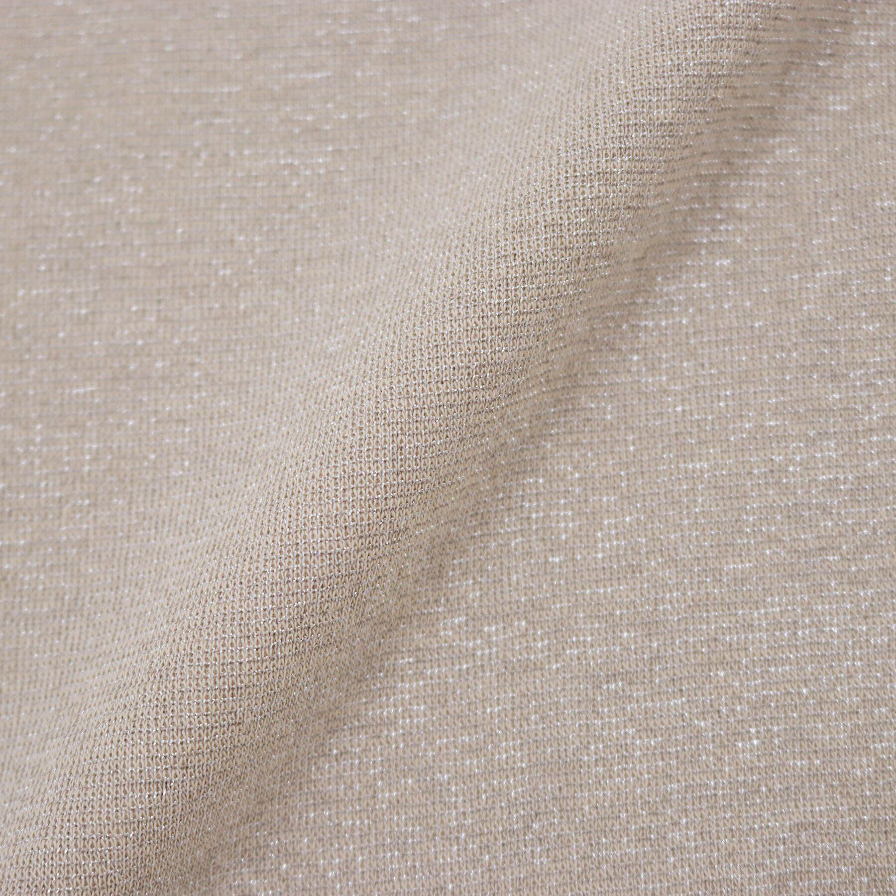 index「ラメシアーチュールトップス【洗濯機洗い可】」|Tシャツ・カットソー|