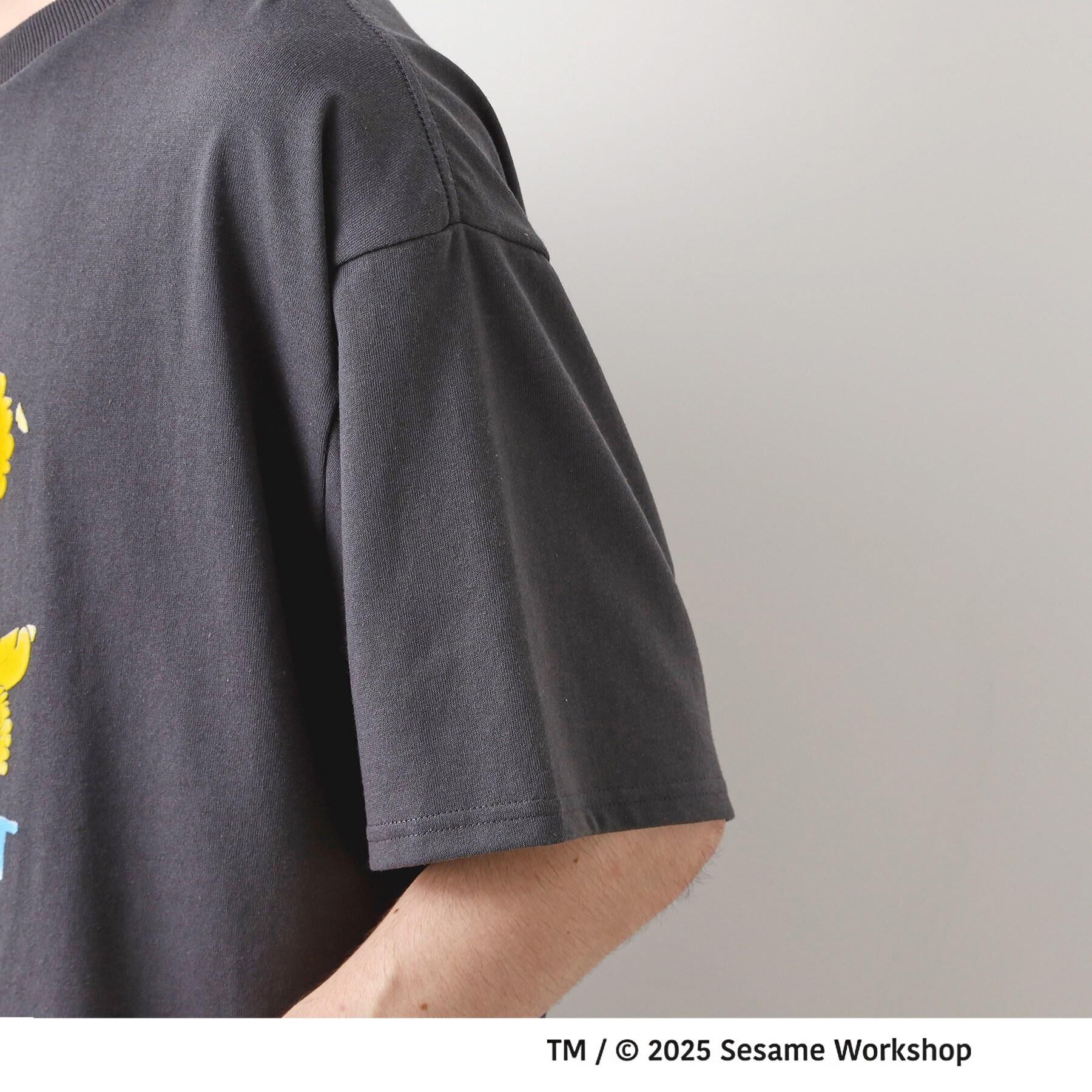 THE SHOP TK「セサミストリートTシャツ／親子リンク」|Tシャツ・カットソー|