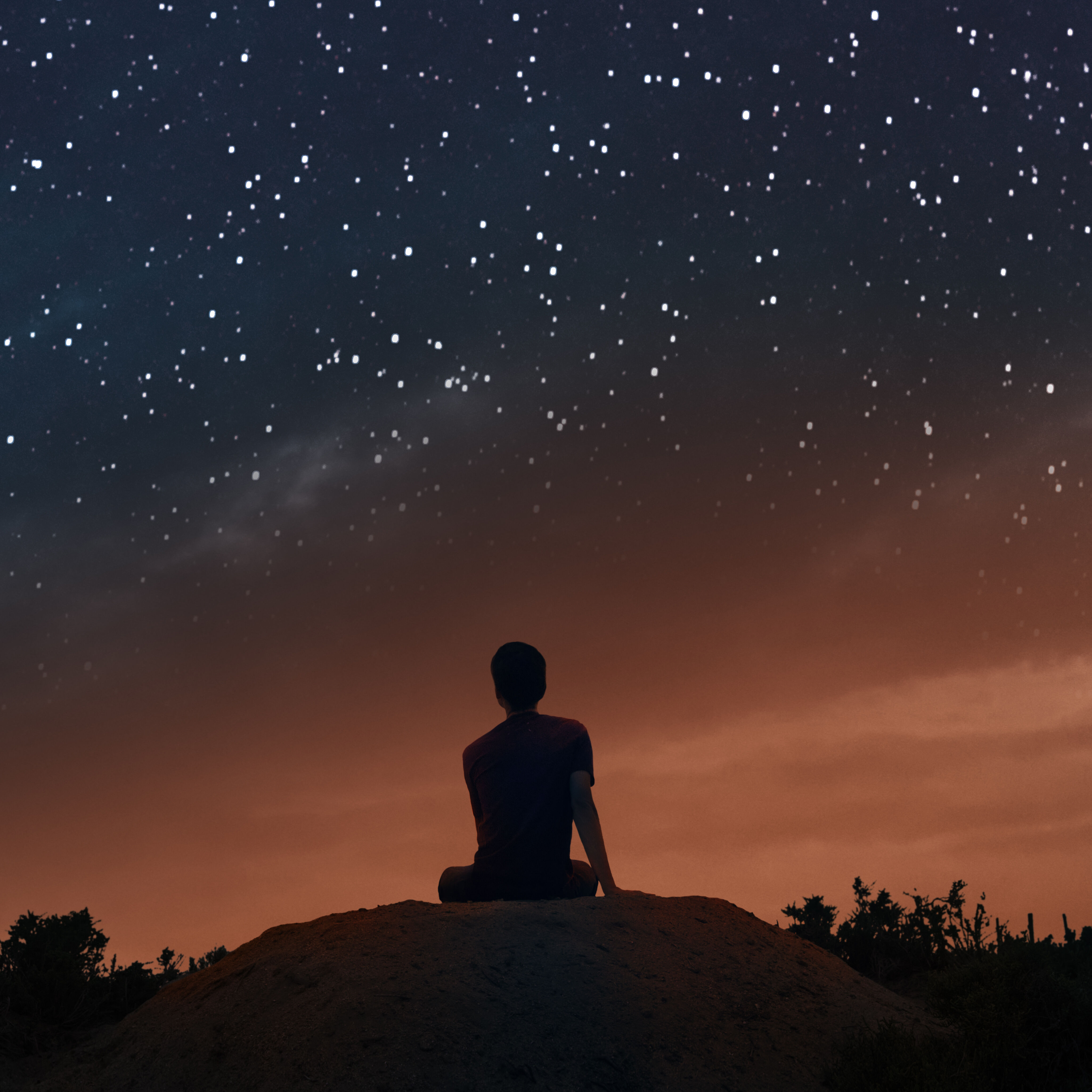 Maison Margiela&rsquo;REPLICA&rsquo;Fragrances「レプリカ　オードトワレ　アンダー　ザ　スターズ 100ml　ウードの幻想と乾いたレザーの香り」|香水・フレグランス|