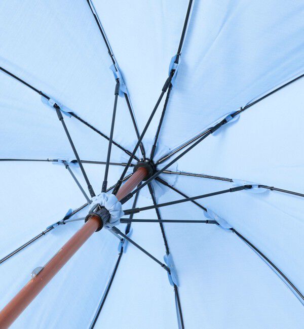 BEAMSBOY「Dicesare Designs / Kabocha傘」|傘|