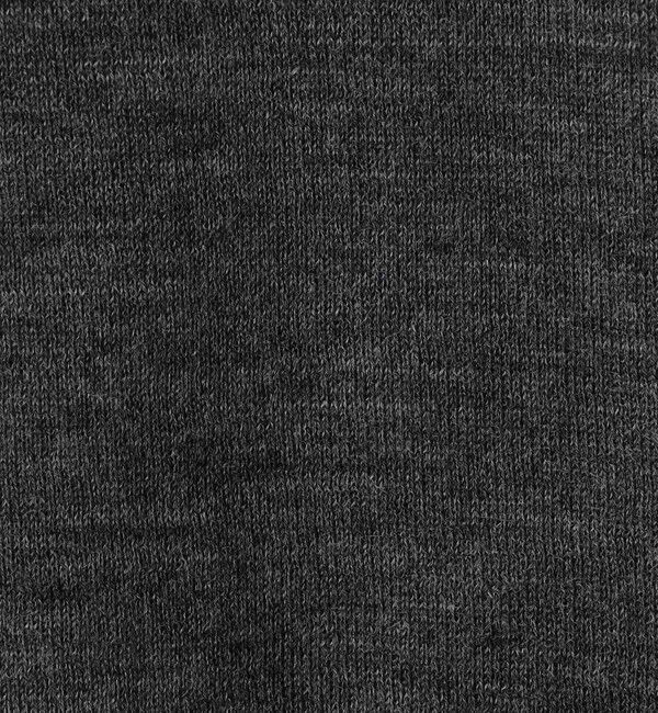 GALERIE VIE「 ウーステッドカシミヤ クルーネックプルオーバー」|ニット・セーター|