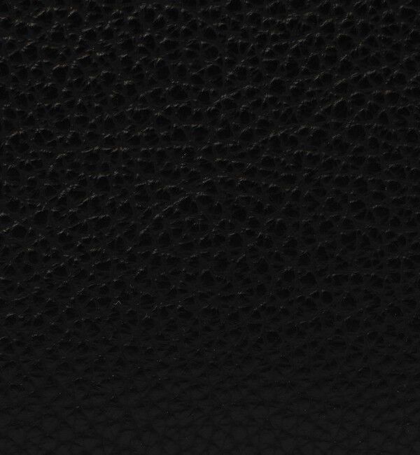 TOMORROWLAND GOODS「Chambord Sellier PETIT ANGERS シュリンクレザー クラッチバッグ LAGUN」|クラッチバッグ|