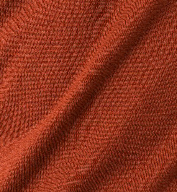 NOLLEY'S goodman「14G成型 ウォッシャブル NSN長袖ポロニット 25AW」|ニット・セーター|