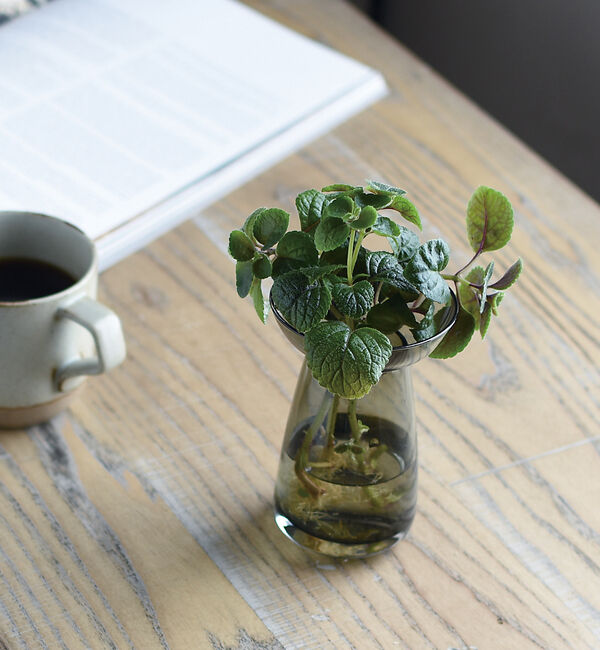 collex「【KINTO /キントー】アクアカルチャーベース80」|フラワーベース|グレー