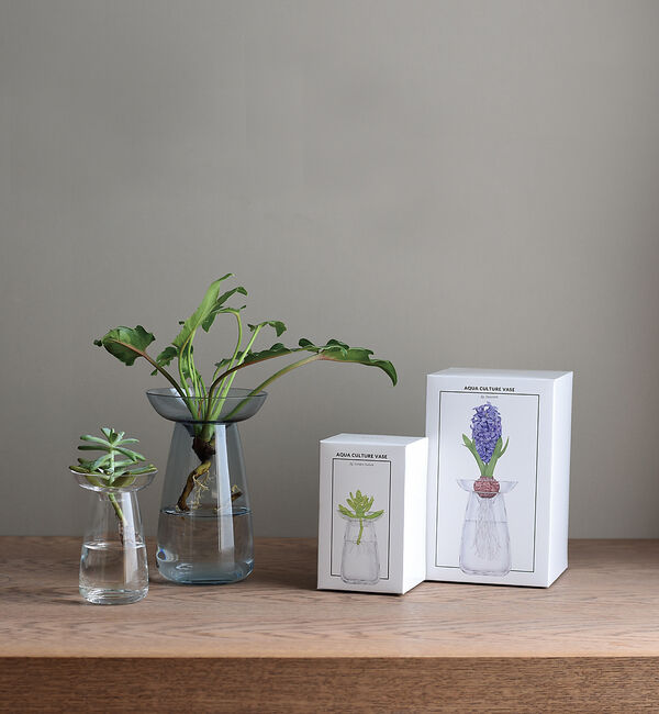 collex「【KINTO /キントー】アクアカルチャーベース80」|フラワーベース|