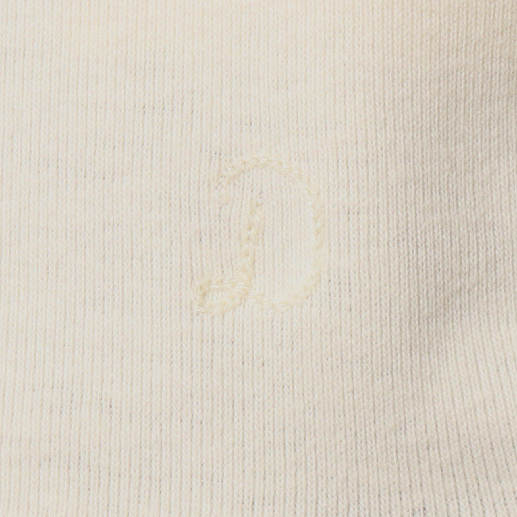 DRESSTERIOR「ラグランハーフスリーブプルオーバー」|Tシャツ・カットソー|