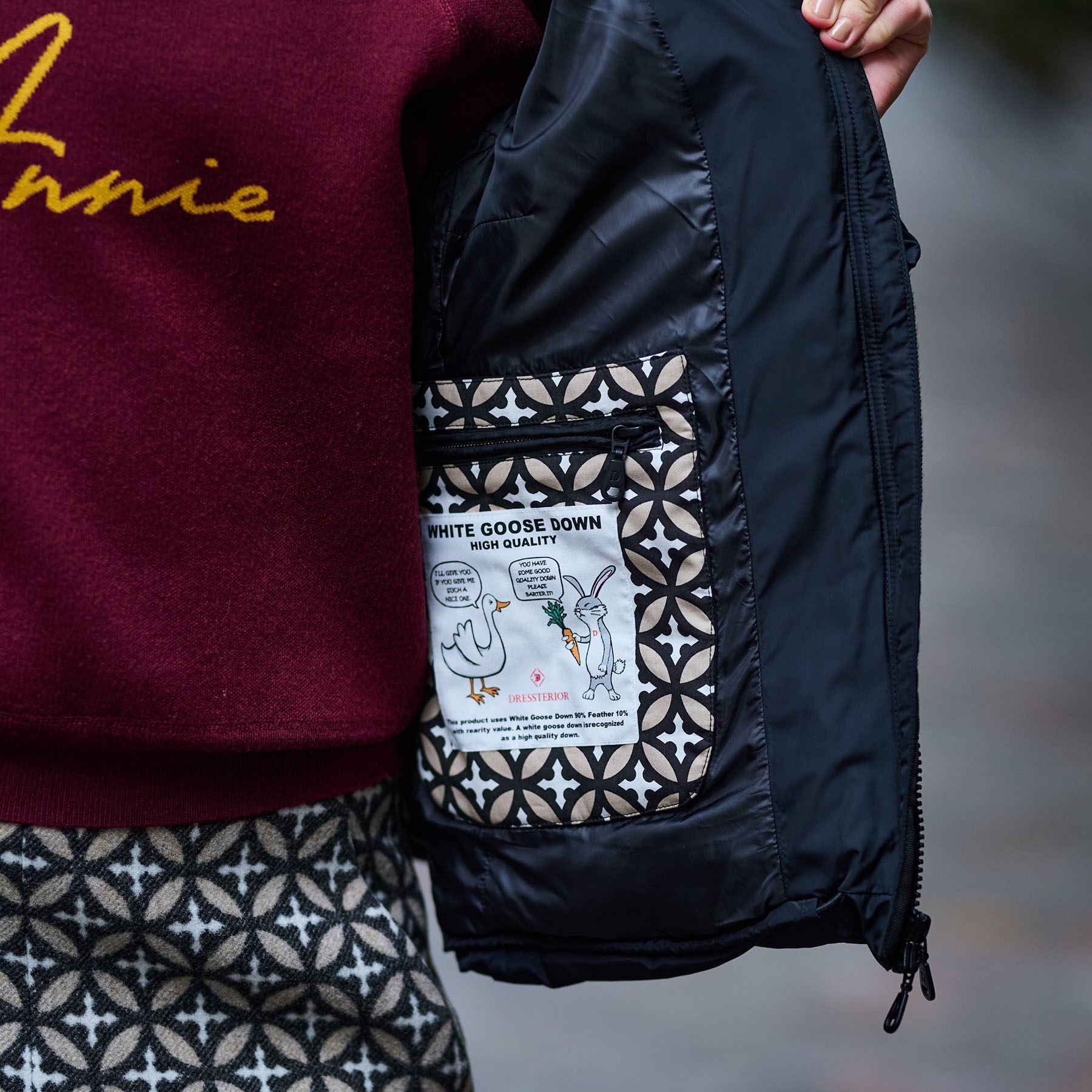 DRESSTERIOR「ホワイトグースライトダウン」|ダウン|