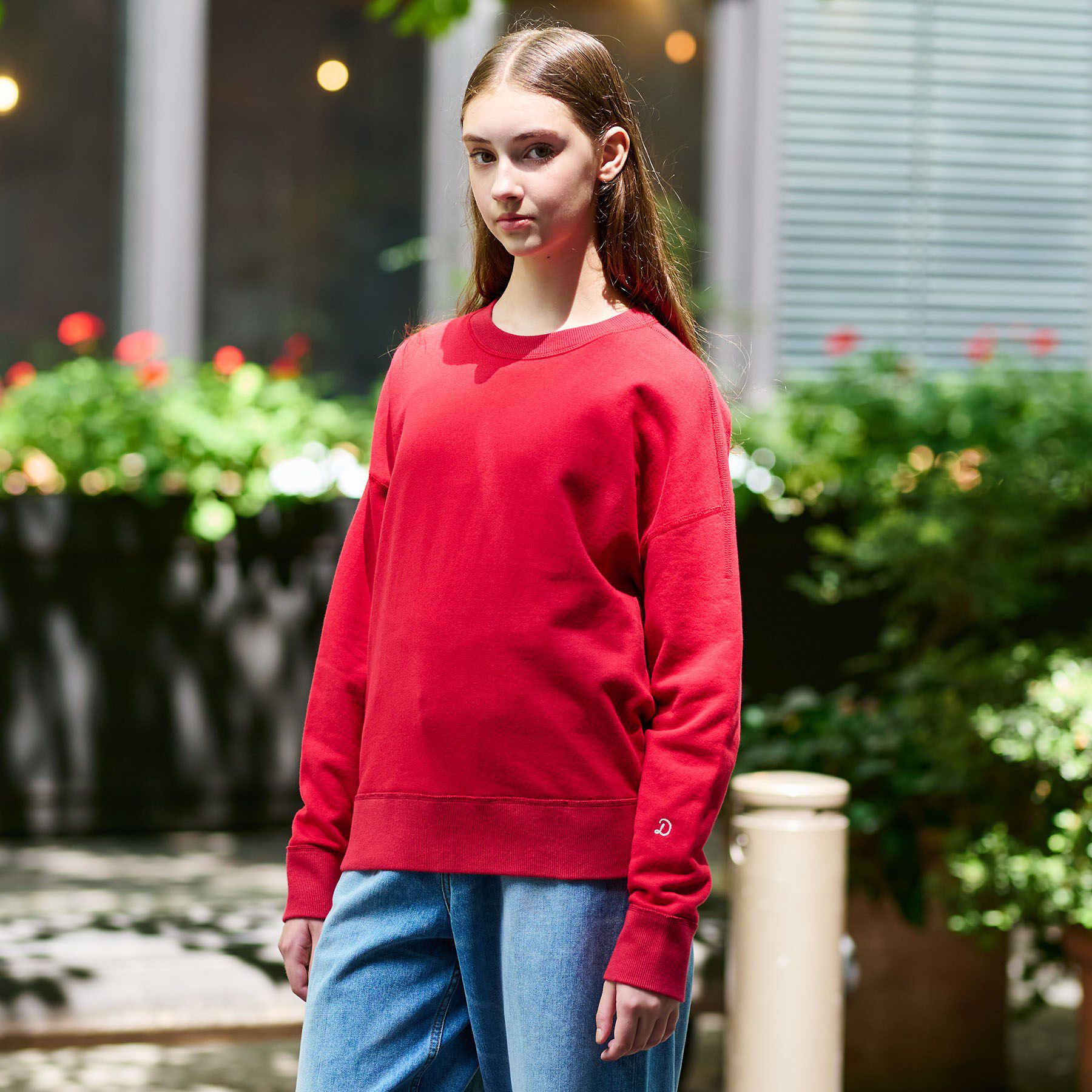 DRESSTERIOR「コットン裏毛プルオーバー」|パーカー|