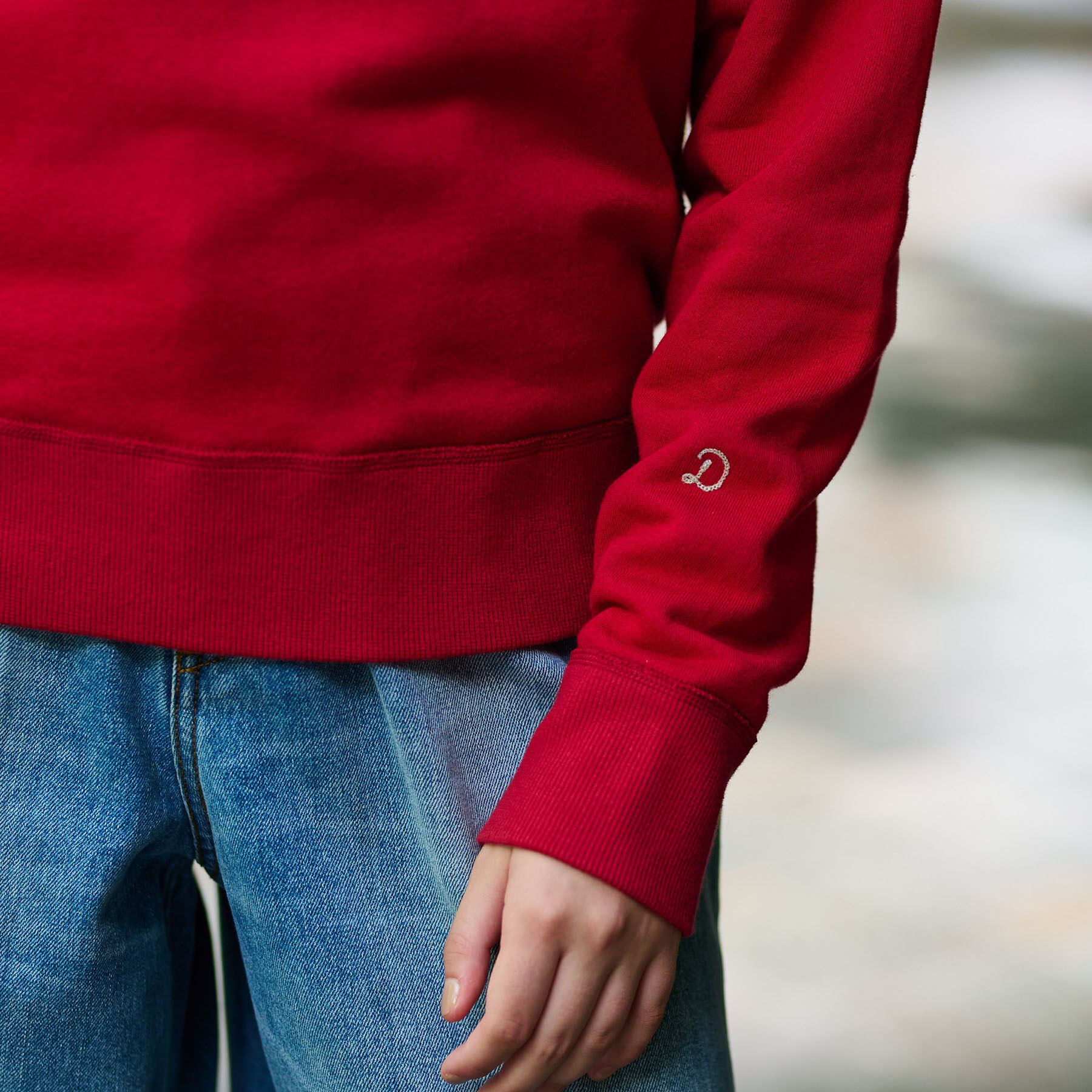 DRESSTERIOR「コットン裏毛プルオーバー」|パーカー|