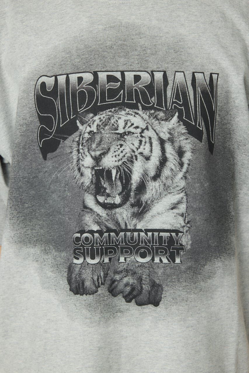 RODEO CROWNS「フェードタイガーTシャツ」|Tシャツ・カットソー|