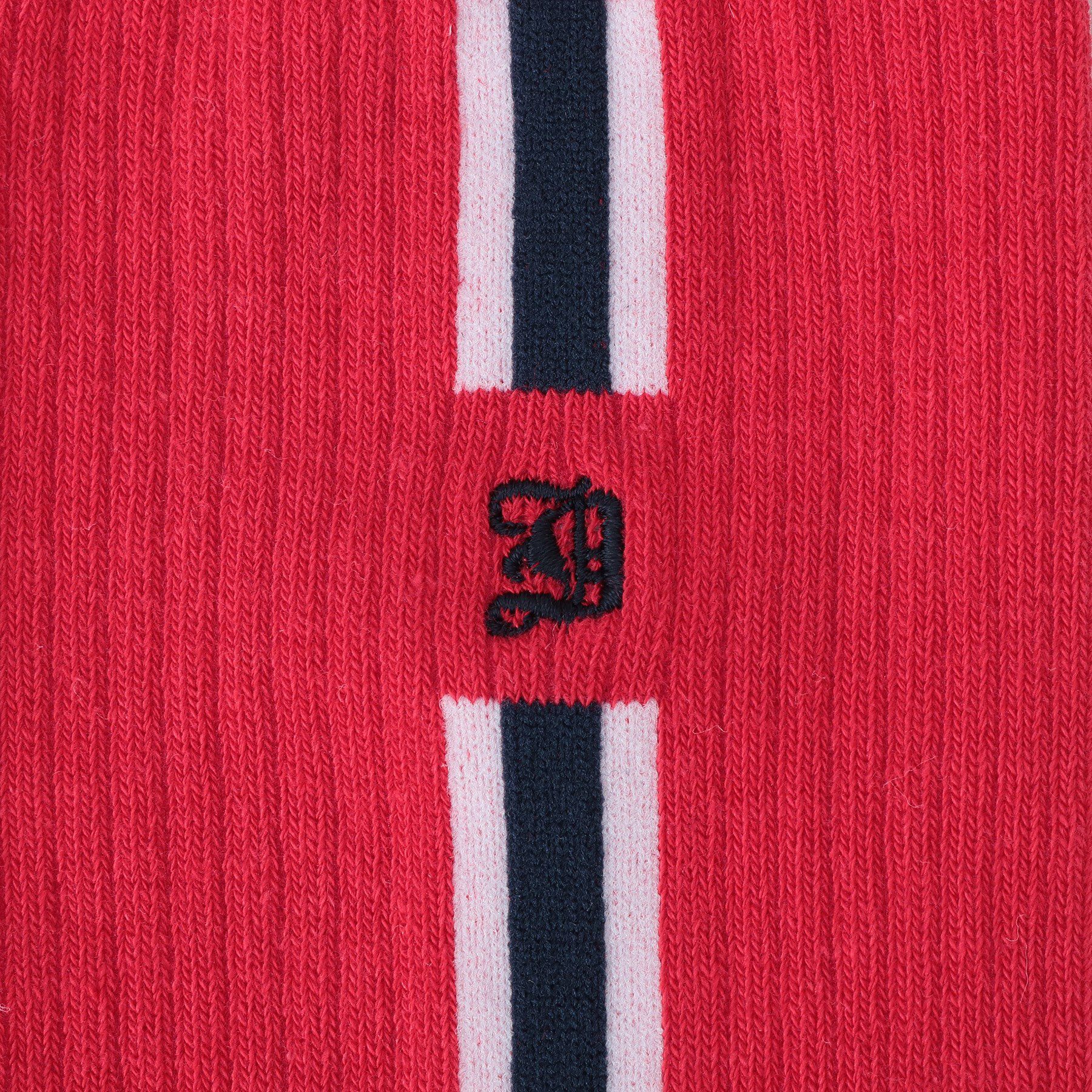 DRESSTERIOR「D刺繍 ラインソックス」|ソックス|