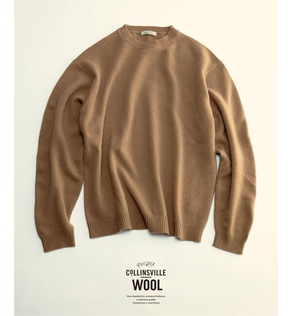 JOURNAL STANDARD relume「COLLINS VILLE WOOL / コリンズ ビル ウール クルーネック ニット」|ニット・セーター|ベージュ