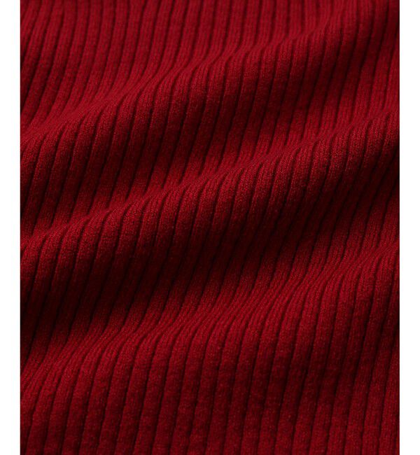 VIS「【新色追加】リブニットプチハイネックプルオーバー【低身長向けサイズ有】」|ニット・セーター|