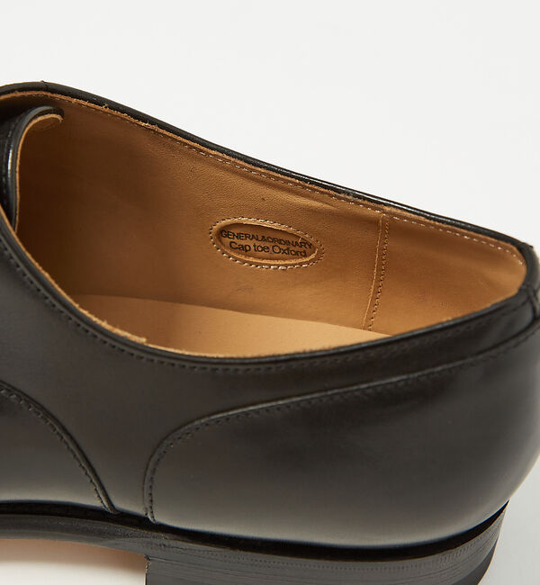 alfredoBANNISTER「【GENERAL&ORDINARY】内羽根ストレートチップシューズ」|ビジネス・ドレスシューズ|