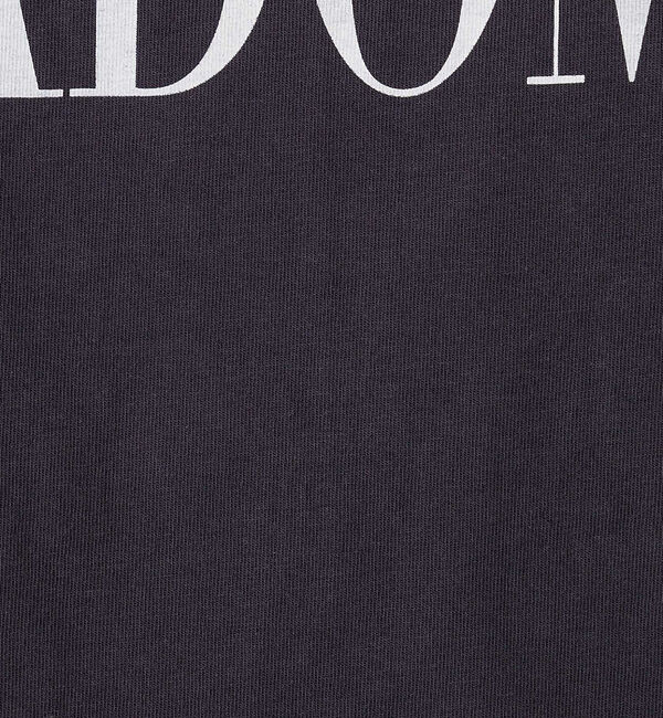 Rouge vif「別注【MICA&DEAL /マイカアンドディール】LADOME プリントロンT」|Tシャツ・カットソー|