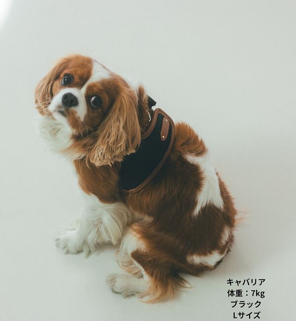 LOWELL things「MATIE/ハーネス(S/M/L)【Direction by 有末麻祐子】」|その他|