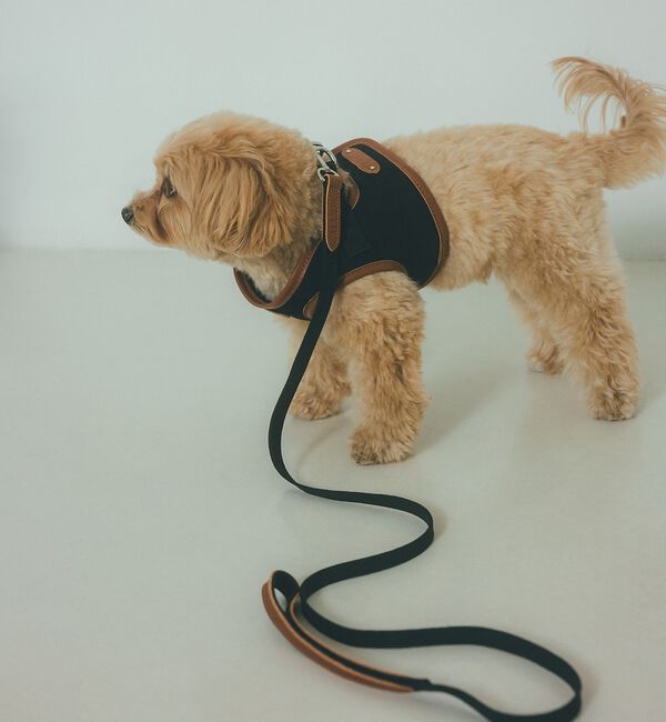 LOWELL things「MATIE/ハーネス(S/M/L)【Direction by 有末麻祐子】」|その他|