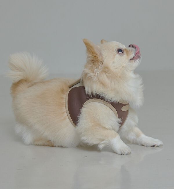 LOWELL things「MATIE/ハーネス(S/M/L)【Direction by 有末麻祐子】」|その他|