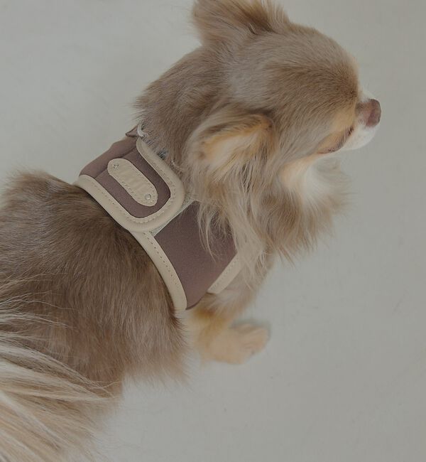 LOWELL things「MATIE/ハーネス(S/M/L)【Direction by 有末麻祐子】」|その他|