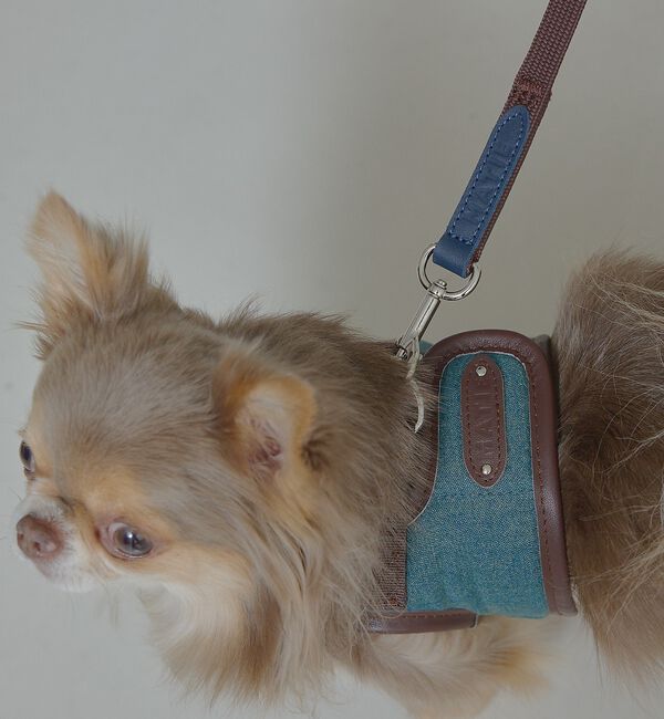 LOWELL things「MATIE/ハーネス(S/M/L)【Direction by 有末麻祐子】」|その他|