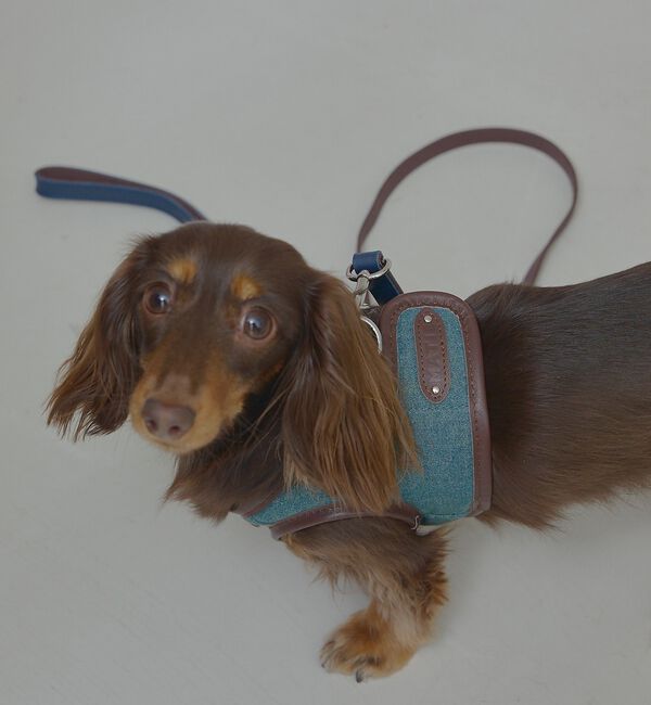 LOWELL things「MATIE/ハーネス(S/M/L)【Direction by 有末麻祐子】」|その他|