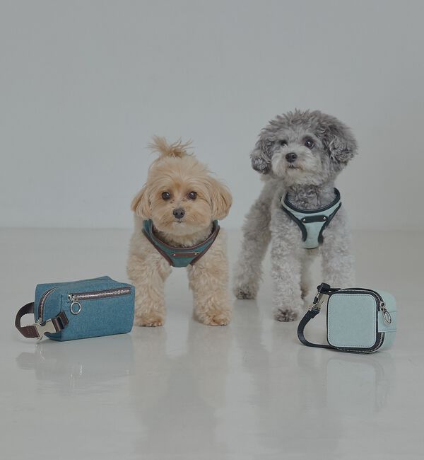 LOWELL things「MATIE/ハーネス(S/M/L)【Direction by 有末麻祐子】」|その他|