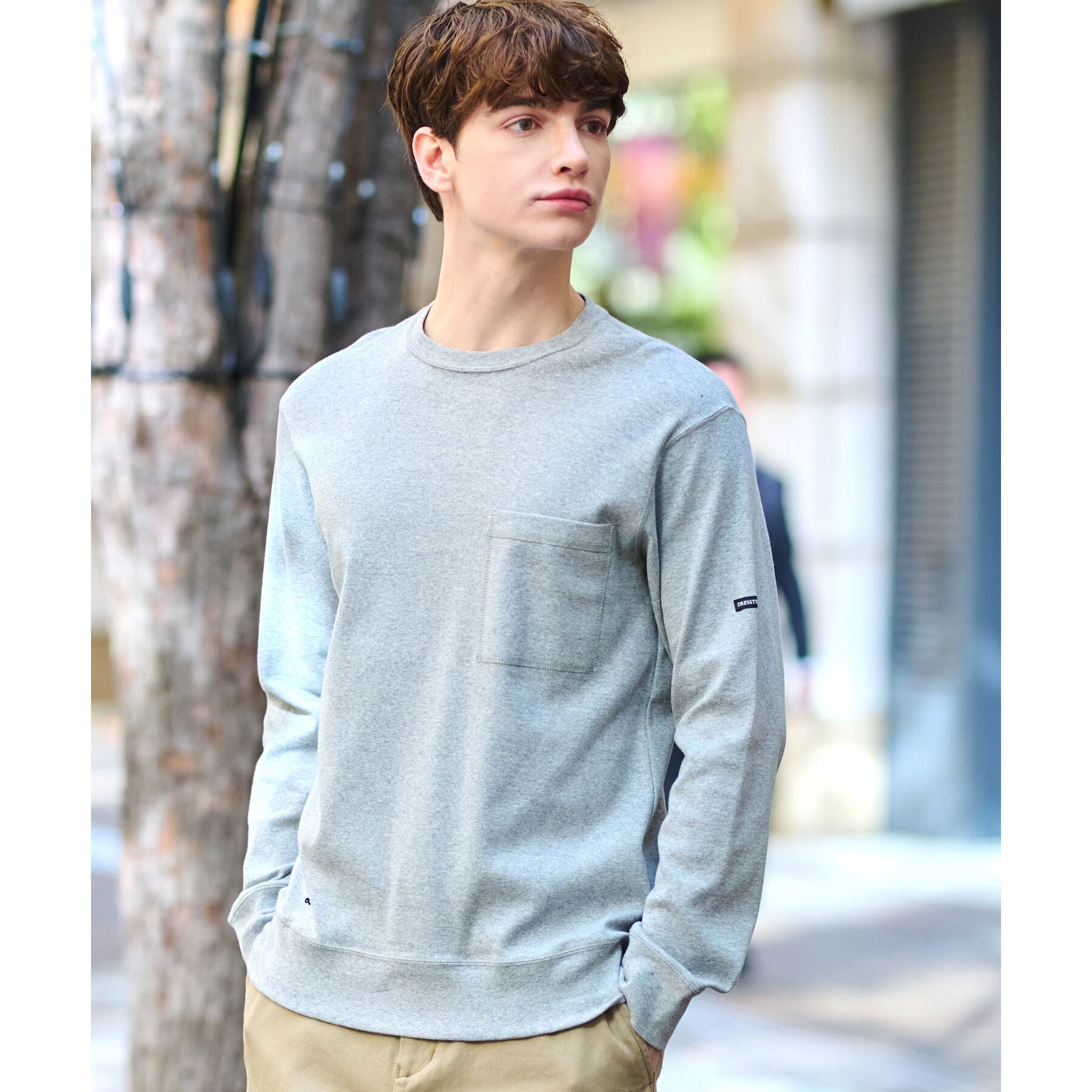 DRESSTERIOR「エクスクルーシブフライスロングTシャツ」|Tシャツ・カットソー|グレー(012)