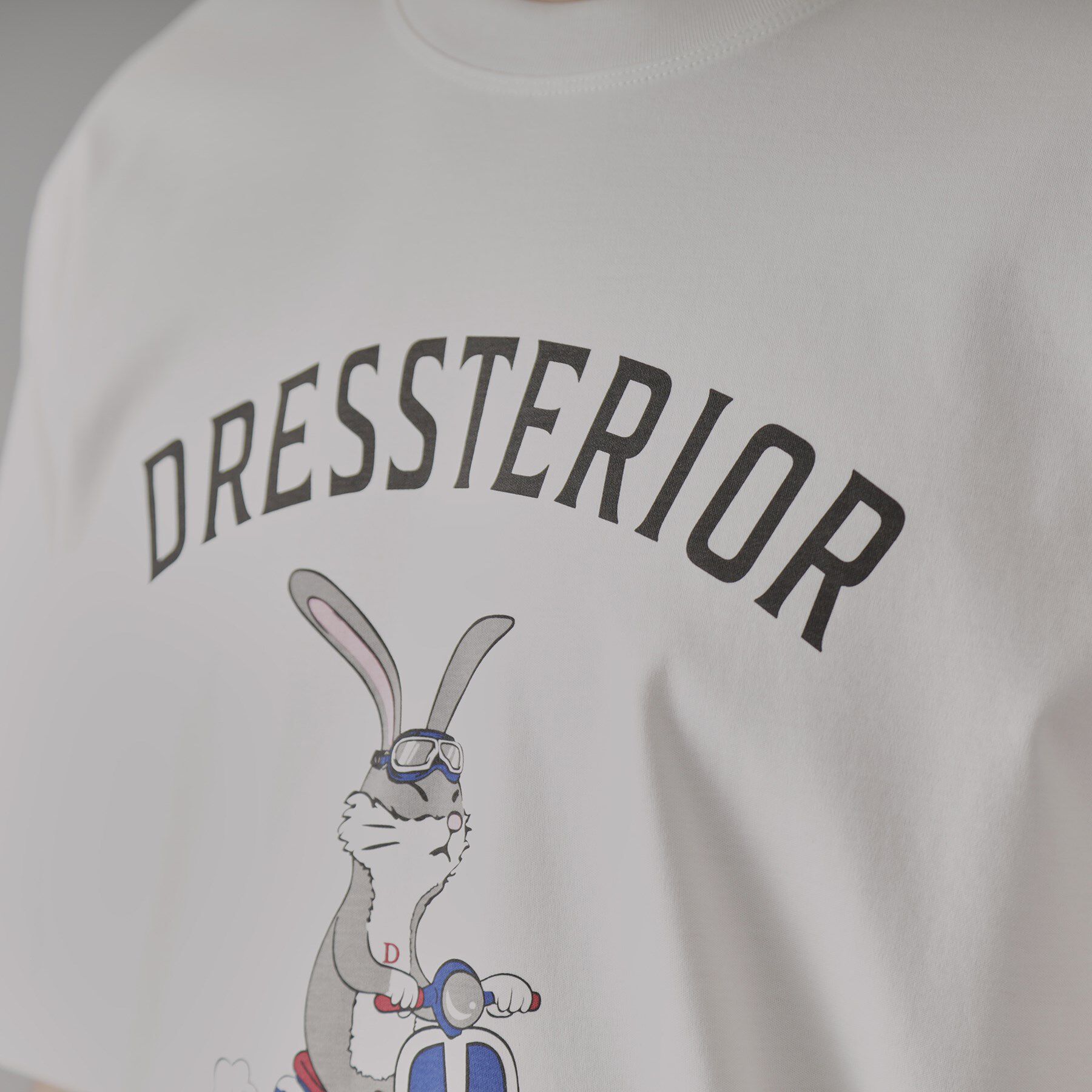 DRESSTERIOR「【接触冷感/抗菌防臭/消臭】ICE CLEAR COTTON ロンドンラビットTシャツ」|Tシャツ・カットソー|