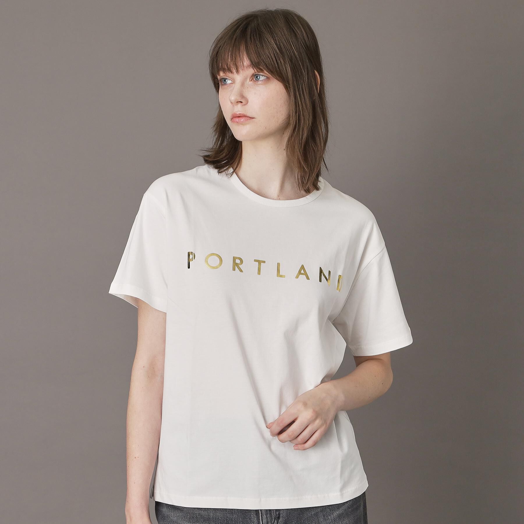 DRESSTERIOR「20／1シルケット風天竺Tシャツ」|Tシャツ・カットソー|