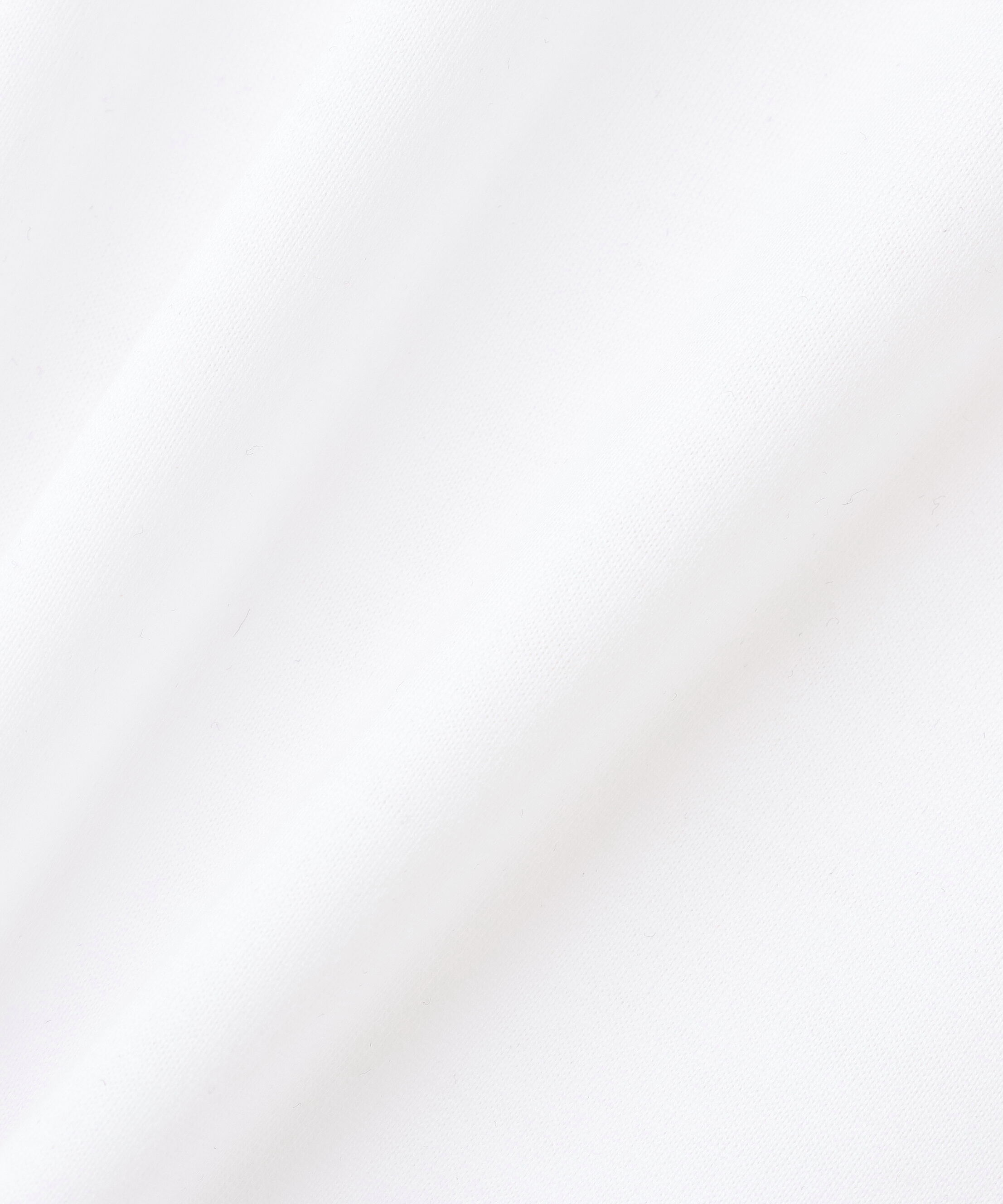 YLEVE 「YLEVE / SUVIN COTTON TURTLE」|Tシャツ・カットソー|