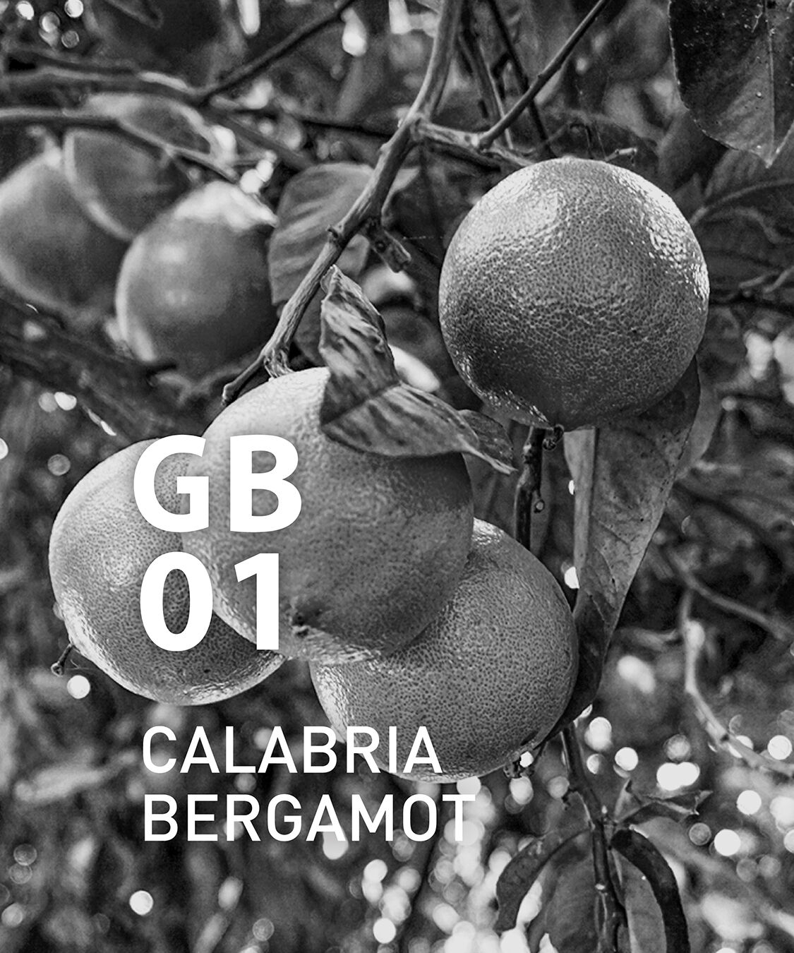 アットアロマ「GB01 カラブリアベルガモット 10ml」|アロマ・ルームフレグランス|