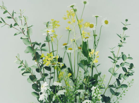 Flora Notis JILL STUART「フローラノーティス ジルスチュアート リペアヘアオイル　50ｍｌ」|美容液・オイル・クリーム|