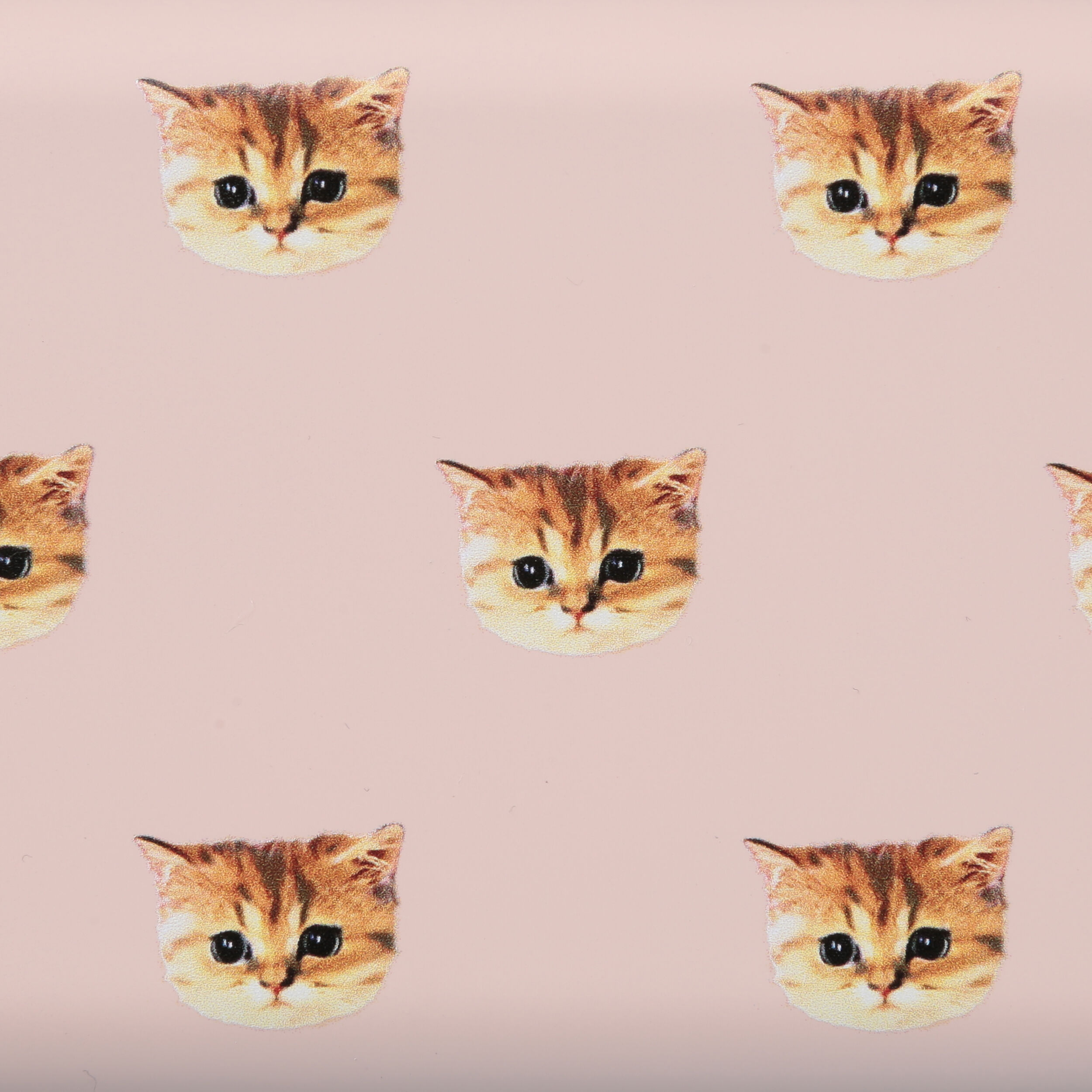 PAUL&JOE「ランチボックス・長方形・２段／ポール＆ジョー・ブレイクタイム」|食器・キッチングッズ|