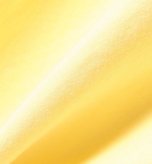 SHIPS any「【SHIPS any別注】LA APPAREL: ヘビーウェイト 半袖 Tシャツ◇」|Tシャツ・カットソー|