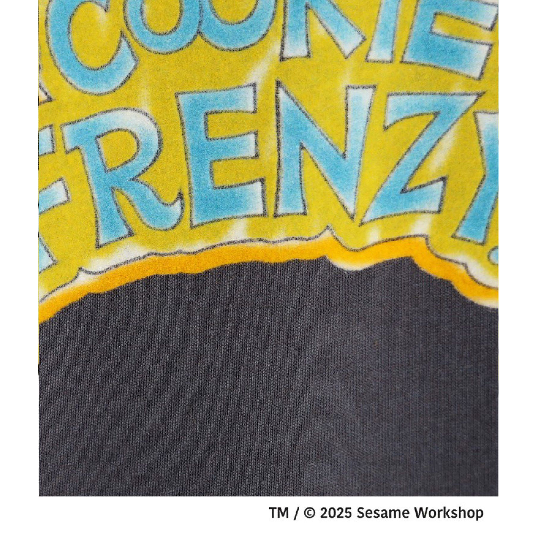 THE SHOP TK「セサミストリートTシャツ」|Tシャツ・カットソー|