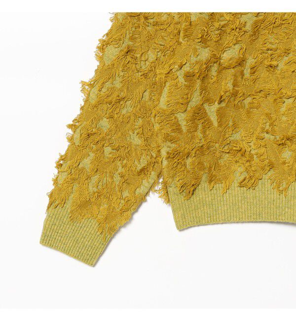 Ray BEAMS 「カット ジャカード フリンジ クルーネック ニット」|ニット・セーター|