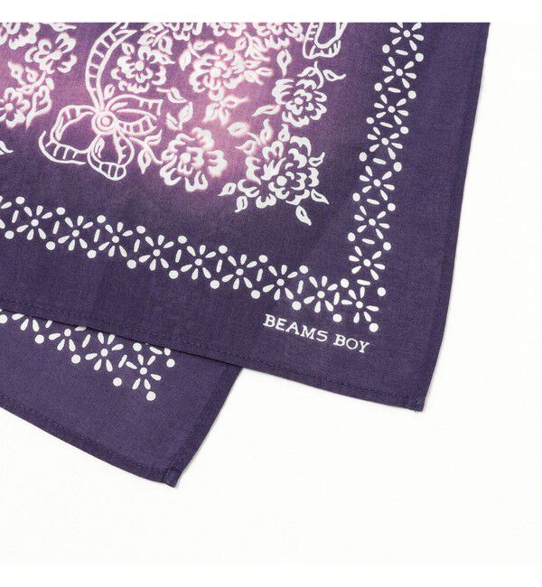 BEAMSBOY「【別注】ELEPHANT BRAND / デッドストックフェード 下鼻 バンダナ」|ハンカチ|