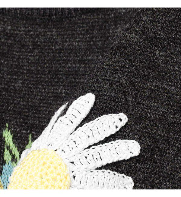 Ray BEAMS 「【別注】GIM CONTEXT / Bouquet ニット」|ニット・セーター|