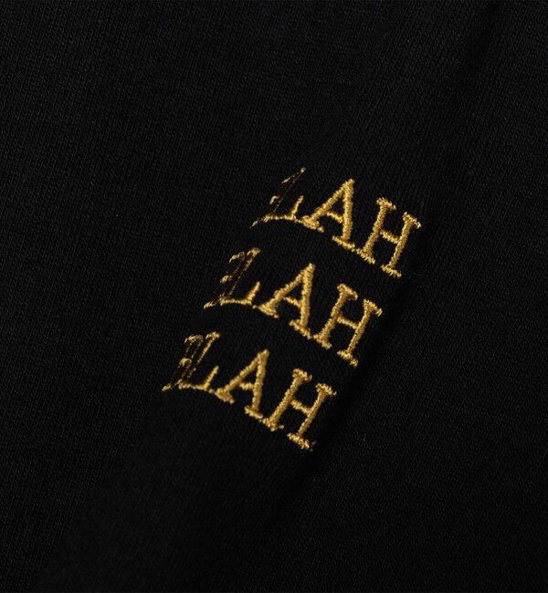 SHIPS any「【WEB限定】SHIPS any: BLAH BLAH BLAH.ワンポイント 刺繍 ルーズ Tシャツ (ロンT)◇」|Tシャツ・カットソー|