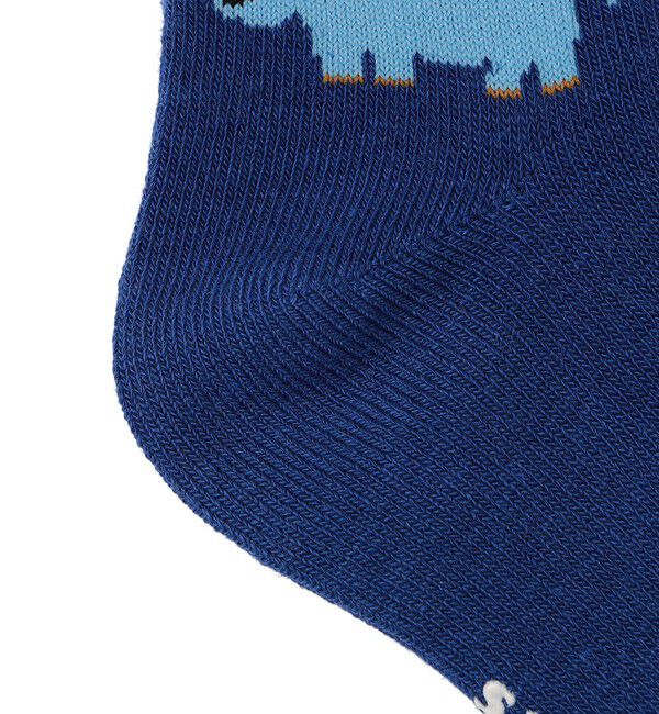 SHIPS Colors 「SHIPS Colors:アニマル ソックス (KIDS)」|ソックス|