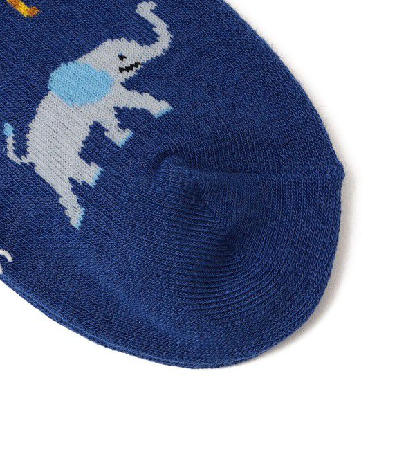 SHIPS Colors 「SHIPS Colors:アニマル ソックス (KIDS)」|ソックス|