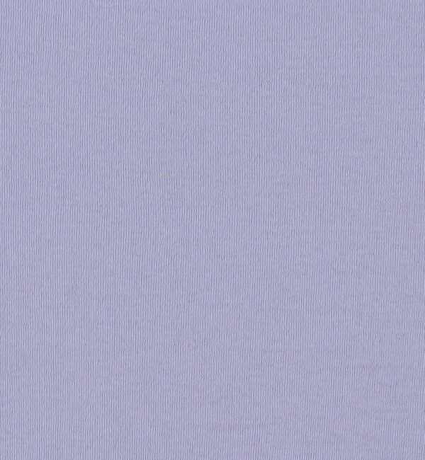 Edition「キョウネンフライス ハーフスリーブトップス」|Tシャツ・カットソー|