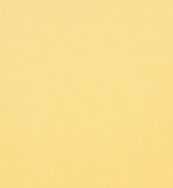 Edition「キョウネンフライス バックオープントップス」|Tシャツ・カットソー|