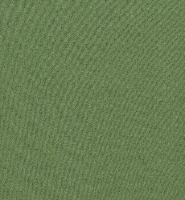 GALERIE VIE「ガーゼフライス ボートネックプルオーバー」|Tシャツ・カットソー|